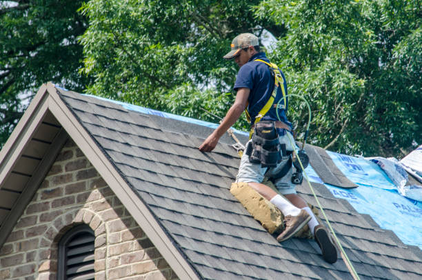 Best New Roof Installation  in Redwood Falls, MN